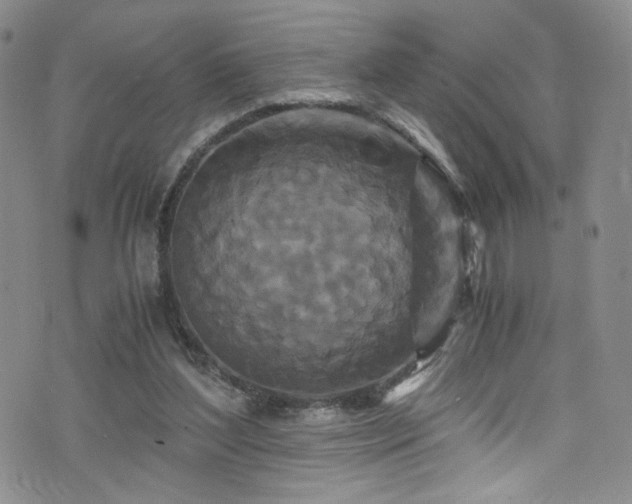 X0000076270204200609281214