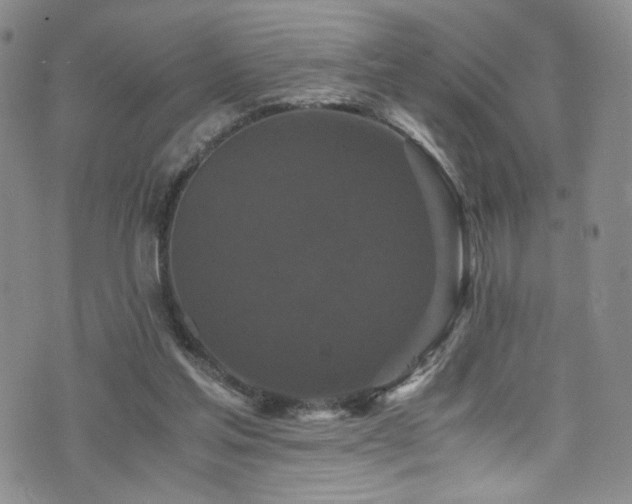 X0000076270205200609281214