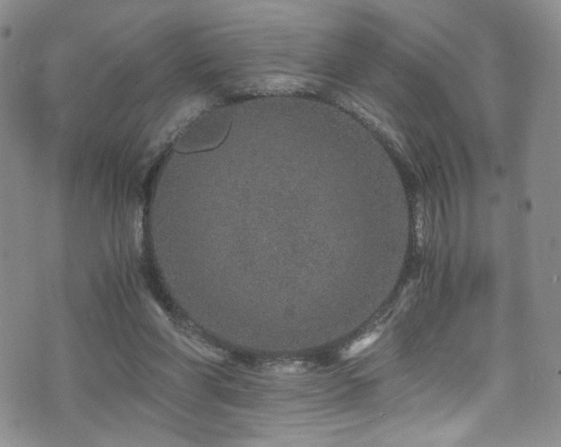 X0000076270206200609281214