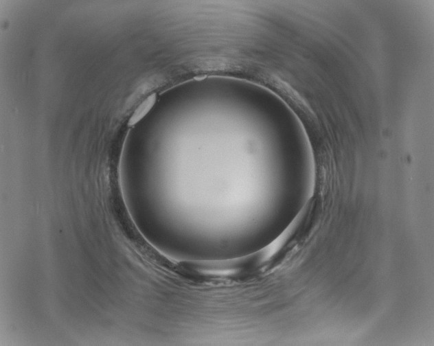 X0000076270207200609281214