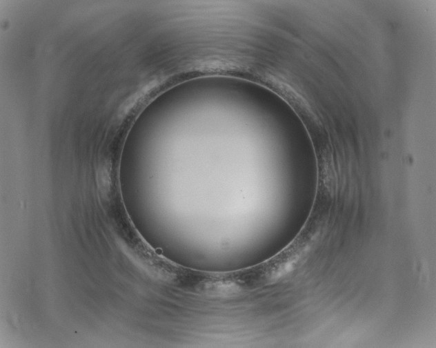 X0000076270208200609281214