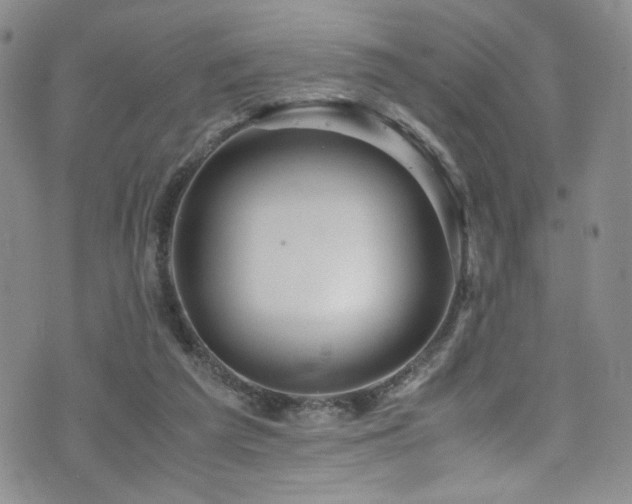 X0000076270209200609281214