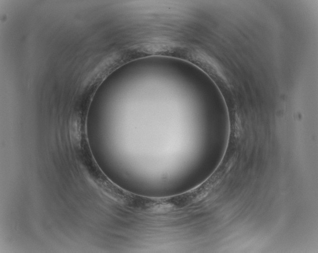 X0000076270210200609281214