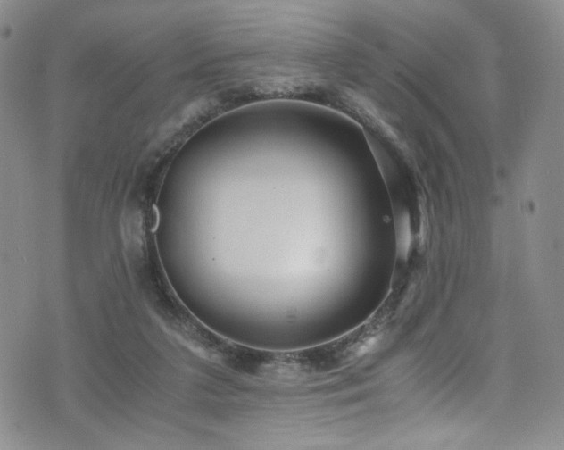 X0000076270211200609281214