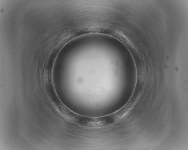 X0000076270213200609281214