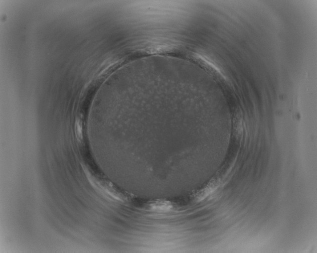 X0000076270214200609281214