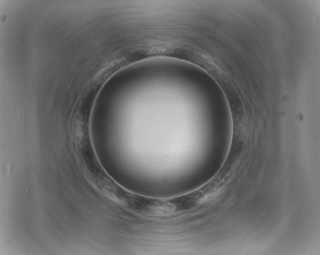 X0000076270215200609281214