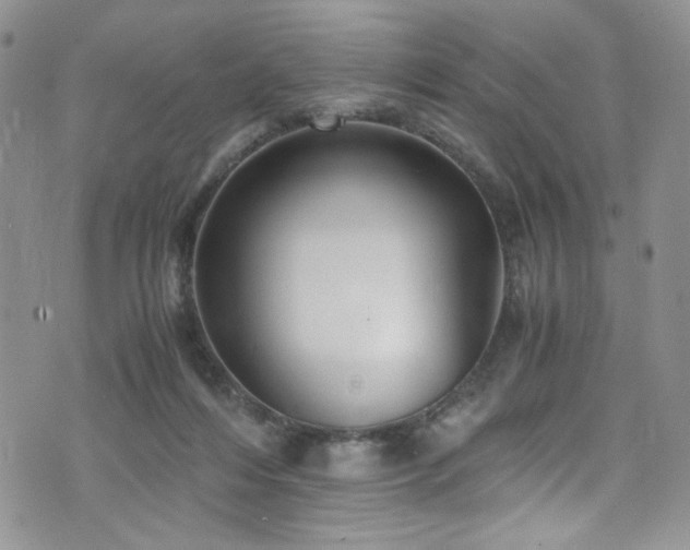 X0000076270216200609281214