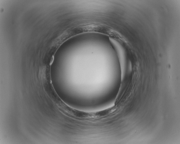 X0000076270217200609281214