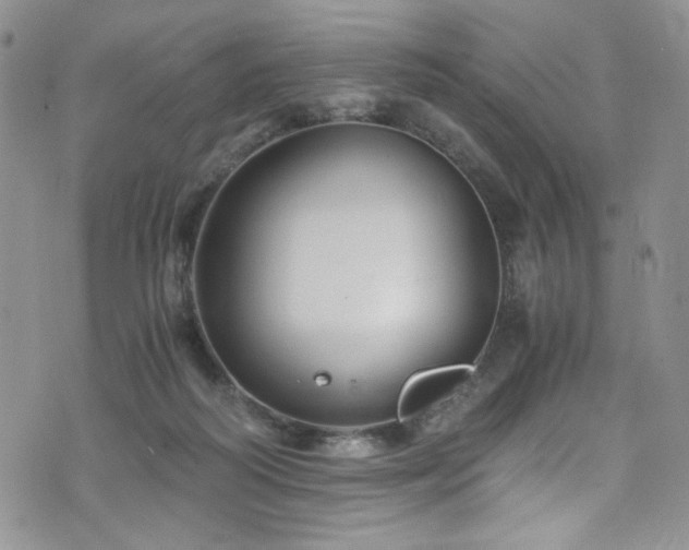 X0000076270218200609281214