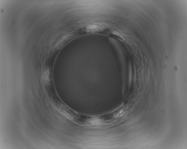 X0000076270219200609281214