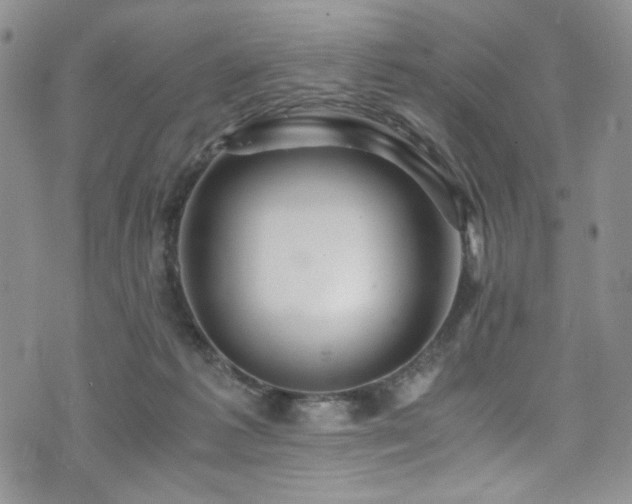 X0000076270221200609281213