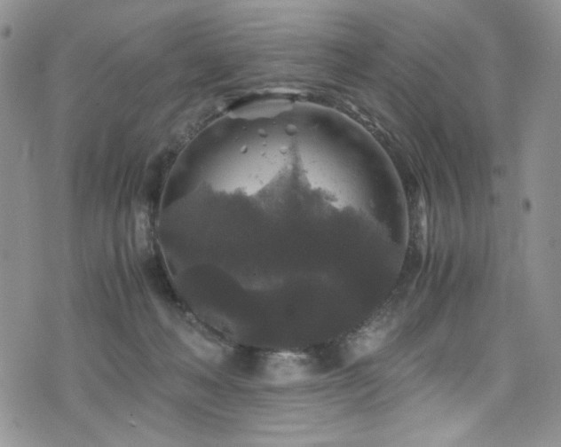 X0000076270222200609281213