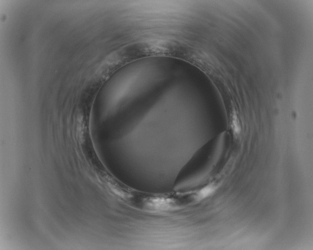 X0000076270223200609281213