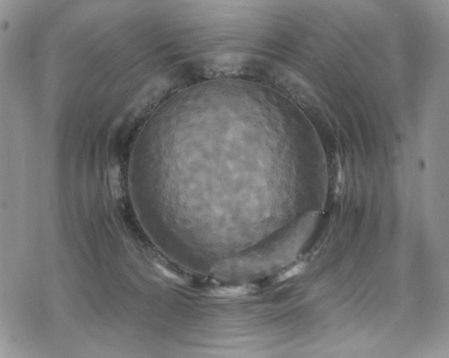 X0000076270224200609281213