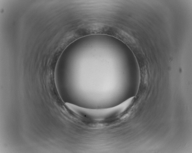 X0000076270225200609281213