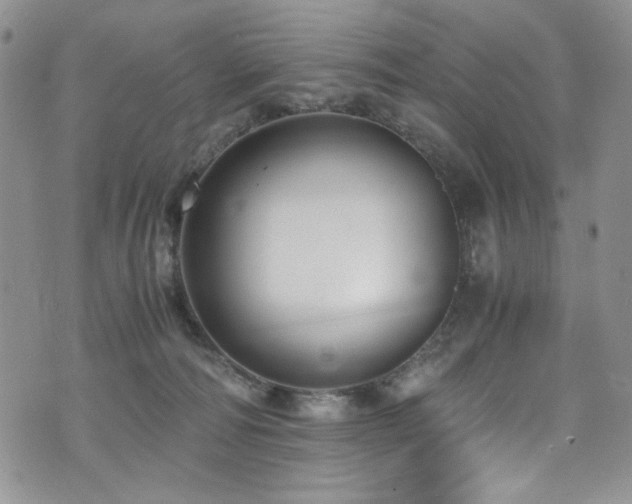 X0000076270226200609281213