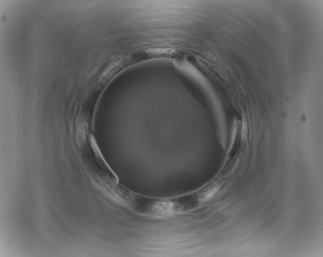 X0000076270227200609281213