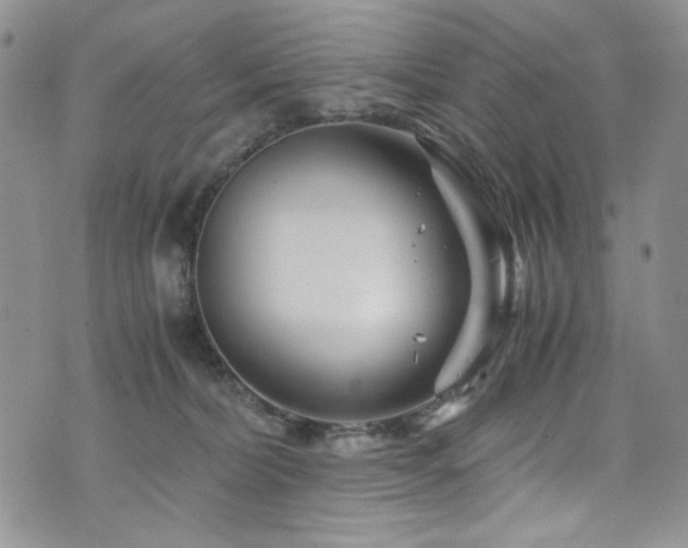 X0000076270228200609281213