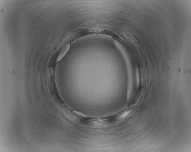 X0000076270229200609281213