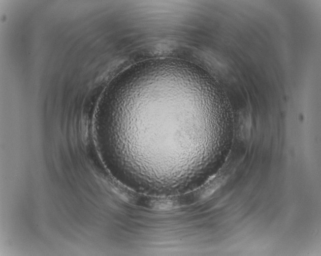 X0000076270230200609281213