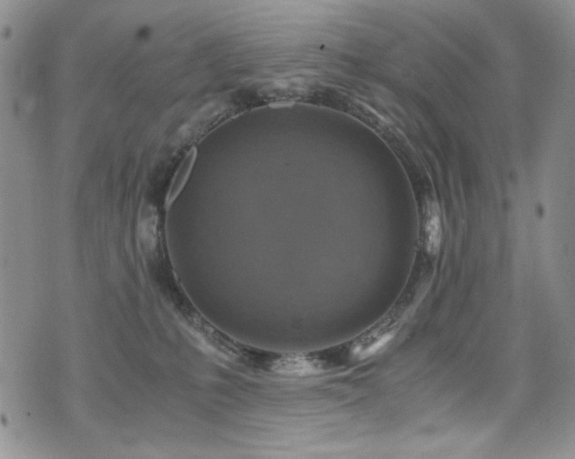 X0000076270231200609281213