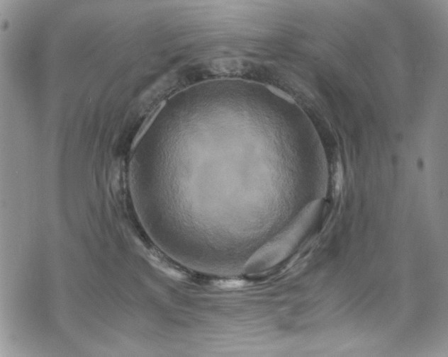 X0000076270233200609281213