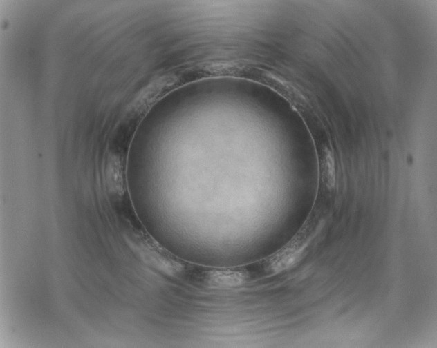 X0000076270234200609281213