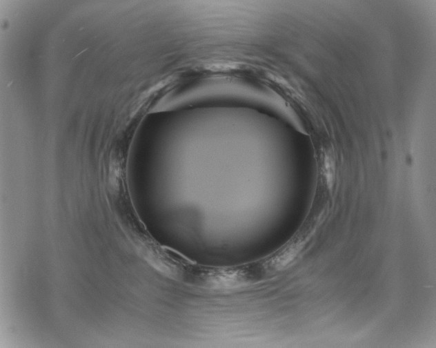 X0000076270235200609281213