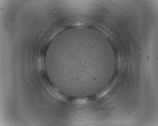 X0000076270236200609281213