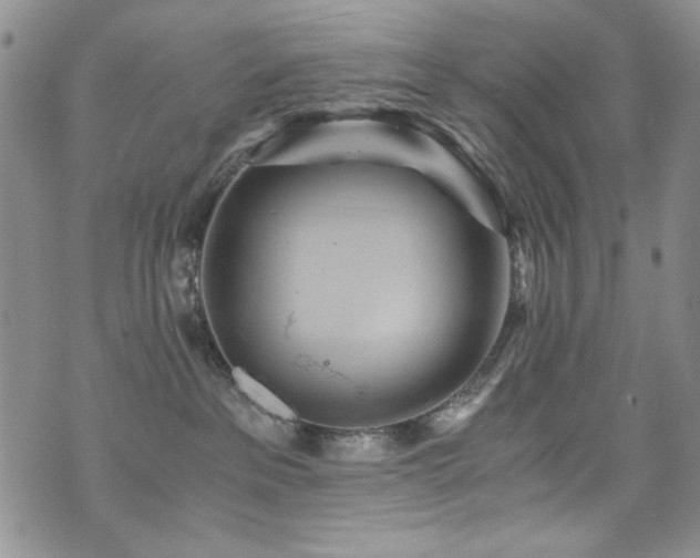 X0000076270237200609281213