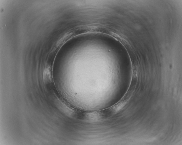 X0000076270238200609281213