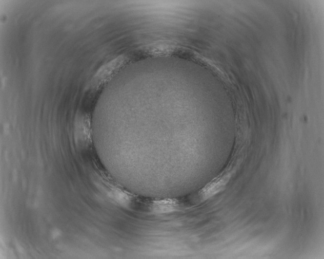 X0000076270240200609281213