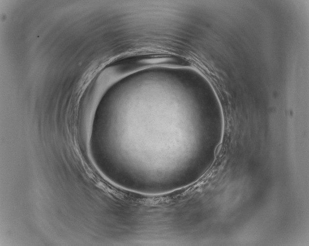 X0000076270241200609281212