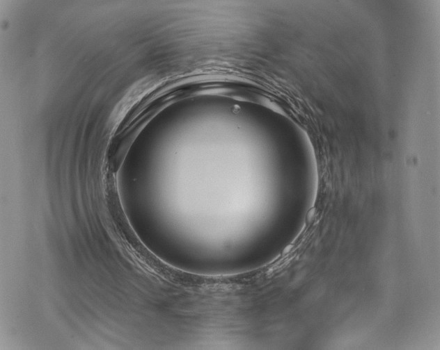 X0000076270242200609281212