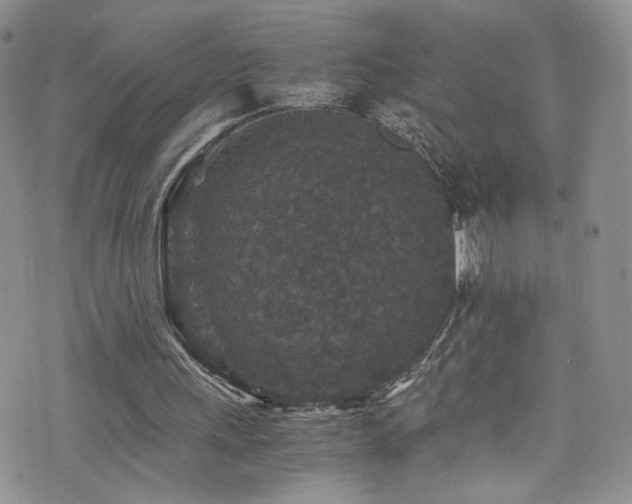 X0000076270243200609281212