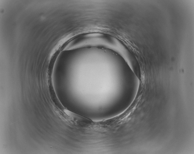 X0000076270244200609281212