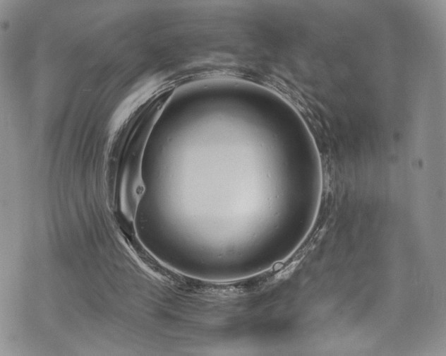 X0000076270245200609281212