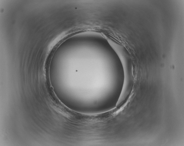 X0000076270246200609281212