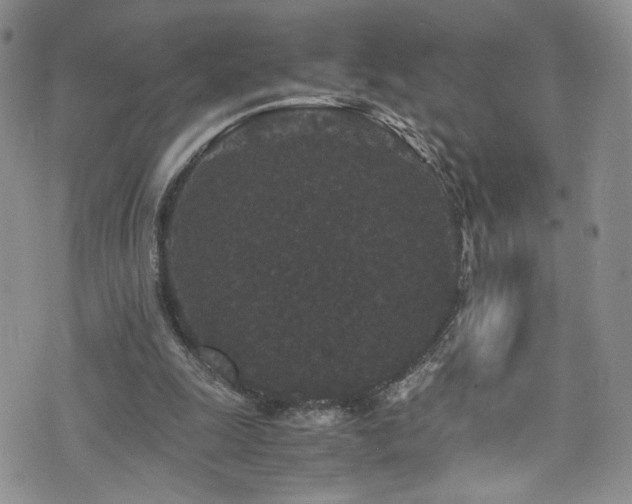 X0000076270247200609281212