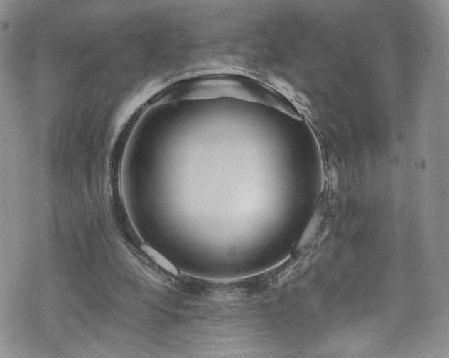 X0000076270248200609281213