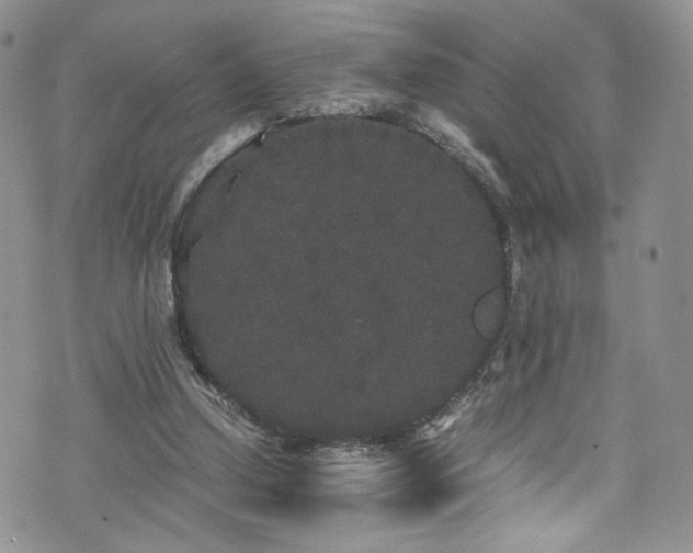 X0000076270250200609281213