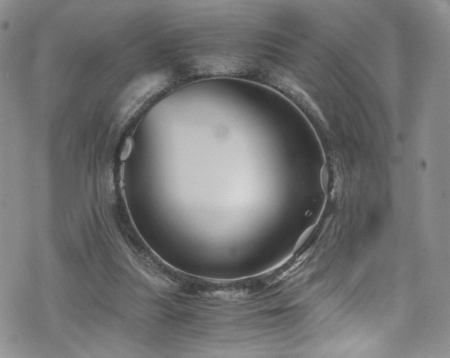 X0000076270251200609281213