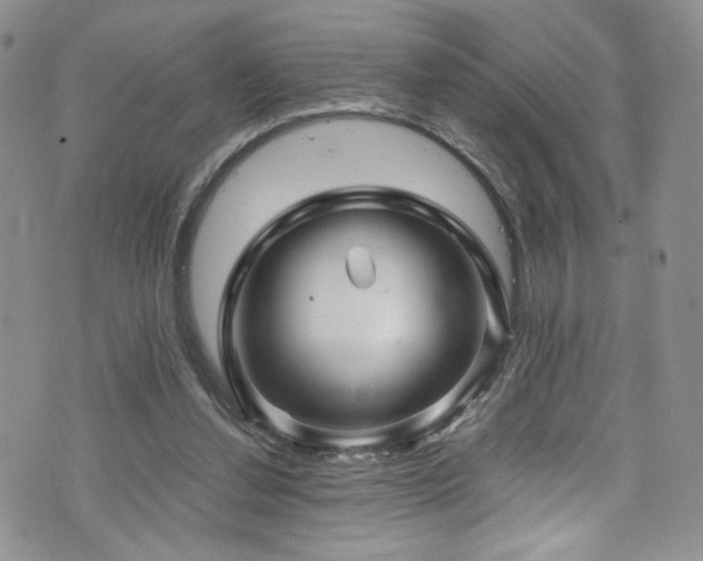 X0000076270252200609281213