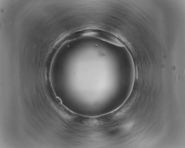 X0000076270253200609281213