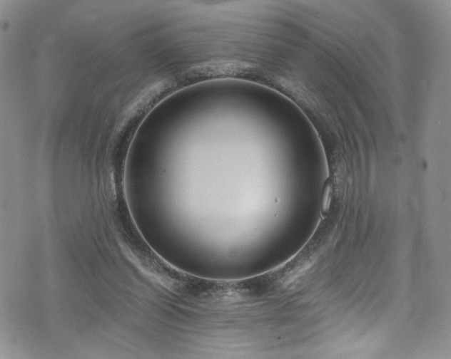 X0000076270254200609281213