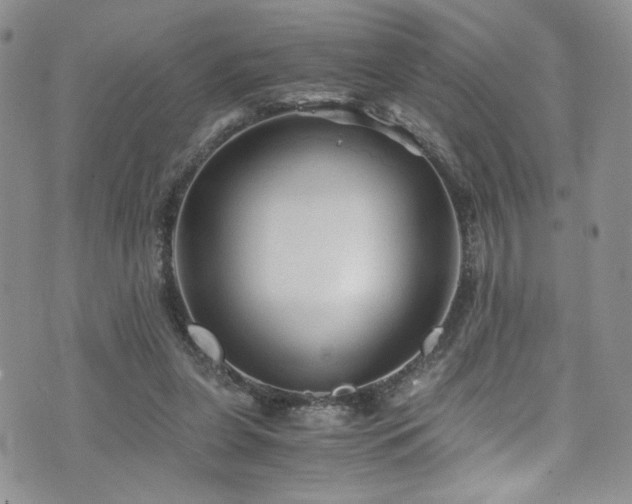 X0000076270255200609281213