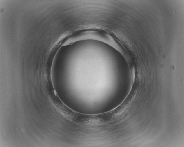 X0000076270256200609281213