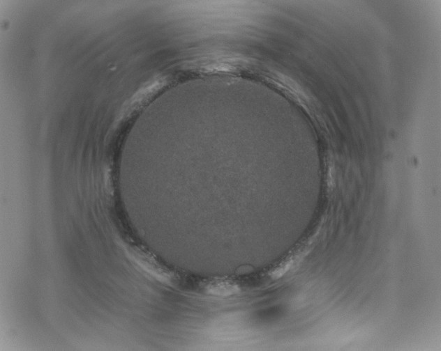 X0000076270258200609281213