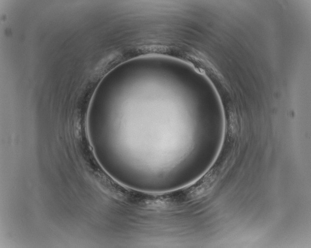 X0000076270259200609281213